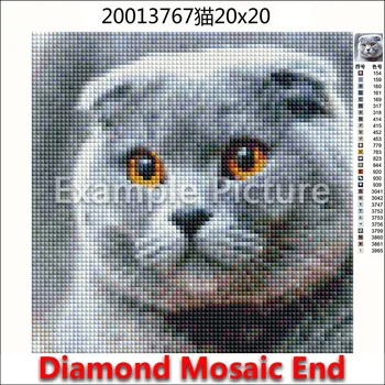 Täielik Square Diamond tikandid Värvikas koeri Täis Ring Diamond mosaiik hobune 5D DIY Diamond maali ristpistes loomade Kassid